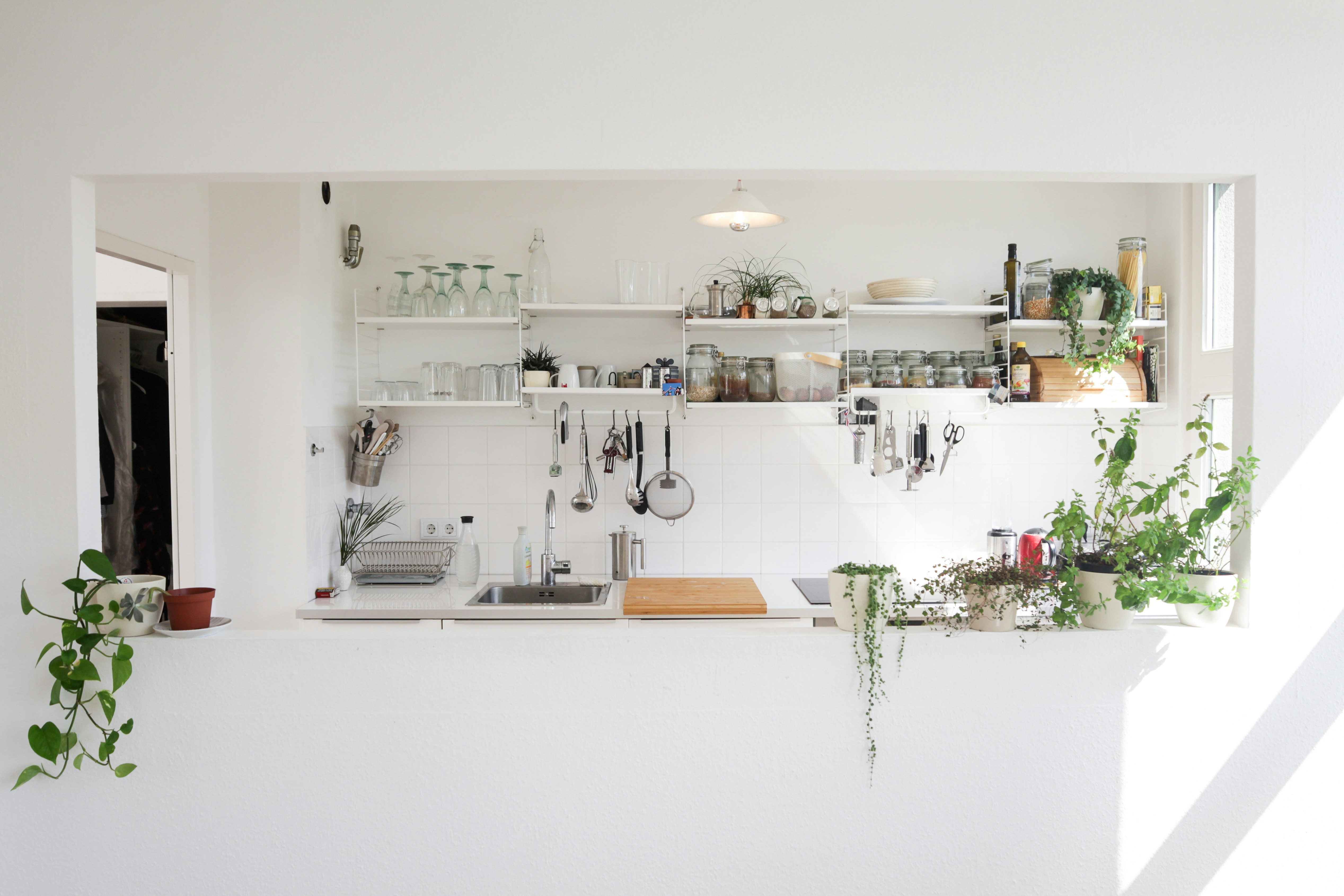 Coworking + Kitchens: A Deep Dive into Shared Commercial Kitchens ...